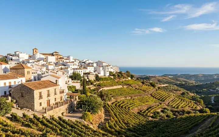 Private transfer from Málaga Airport to Manilva